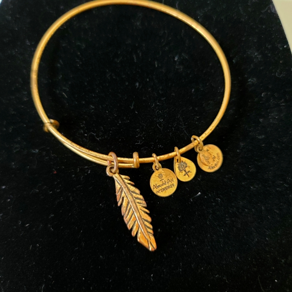 Alex and Ani Bangle